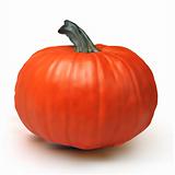 Pumpkin Isolated on White. EPS 8