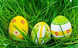 Easter eggs are colored in green spring grass