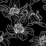 Seamless wallpaper with orchid flowers