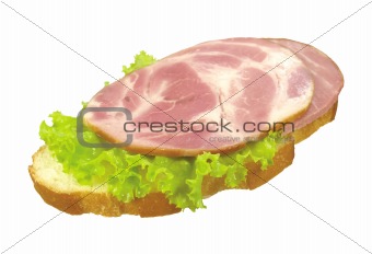 tasty sandwich isolated on white