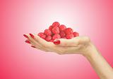fresh raspberries in woman hand over red