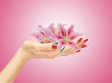 female hand with pink lily over pink background