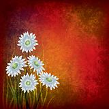grunge illustration with white flowers on red