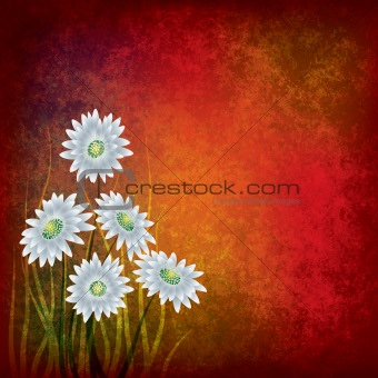 grunge illustration with white flowers on red