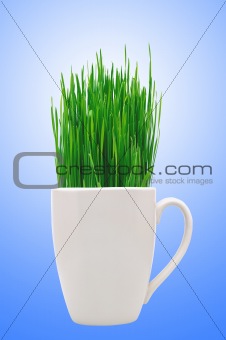 Cup with grass over blue background