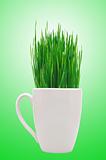 Cup with grass over green