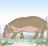 Hippopotamus. Vector Illustration