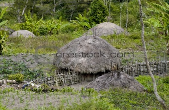 A traditional village in Papua, Indonesia 