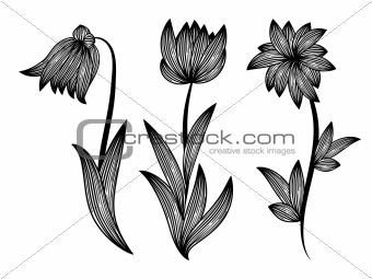 floral design elements, monochrome
