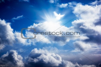 White dove in heavenly sky