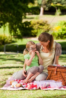 Mother and her daughter picnicking in the park