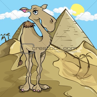 Cartoon camel in front of a pyramid
