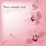 Pink orchid flowers. Vector greeting card.