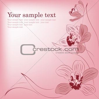 Pink orchid flowers. Vector greeting card.