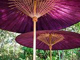 A pair of bamboo purple parasols or Umbrellas