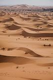 Dunes in Moroccan Sahara
