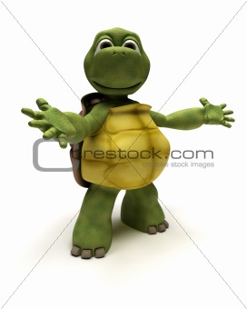Tortoise in an introduction pose