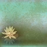 abstract grunge illustration with lotus