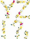 Alphabet of flowers and butterflies-Y, Z
