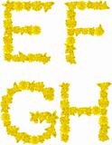 Alphabet of yellow flowers and butterflies-E, F, G, H.