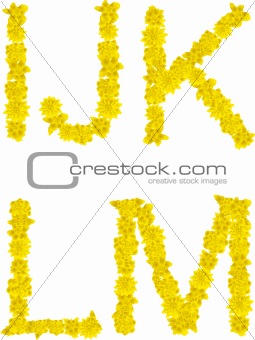 Alphabet of yellow flowers and butterflies-I, J, K, L, M.