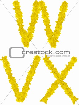 Alphabet of yellow flowers and butterflies-W, V, X.