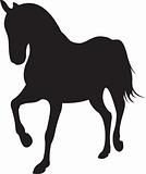 Horse silhouette. Vector illustration