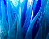 Abstract background - blue wave 