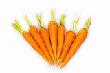 Many carrots isolated on the white background