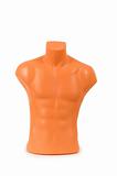 Mannequin of male body isolated on the white