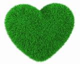 Heart made of green grass isolated