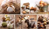 Collage of assorted brown eggs images for easter
