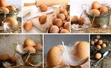 Collage of brown eggs images 