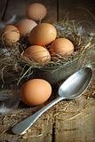 Fresh brown eggs in old tin container with spoon 