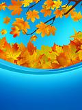 Autumn card of colored leafs. EPS 8