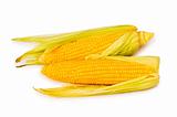 Corn cobs isolated on the white background