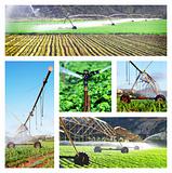 Collage of irrigation images