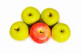 Stand out from crowd concept with apples isolated on white