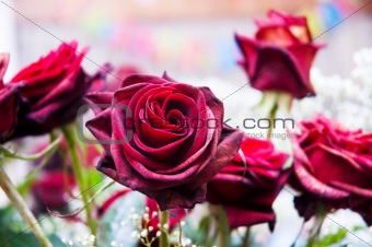 Red roses and other flowers in arrangement