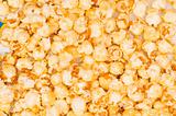Close up of background  - sweet popcorn kernels