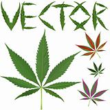 marijuana leafs vectors