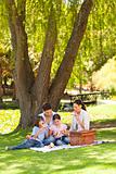 Cute family picnicking in the park