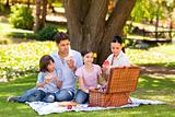 Cute family picnicking in the park