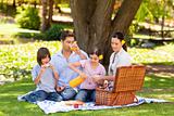Lovely family picnicking in the park
