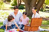 Lovely family picnicking in the park