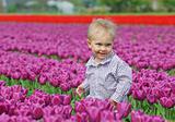 Boy In Tulip Field
