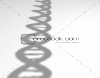 DNA shadow