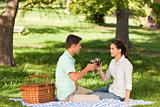 Young couple  picnicking in the park