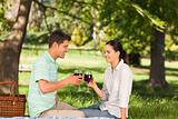Young couple  picnicking in the park