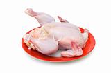 Whole chicken isolated on the white background